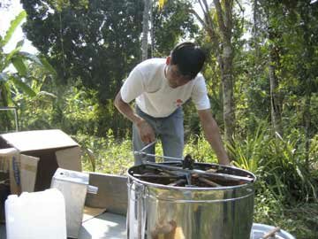 making honey